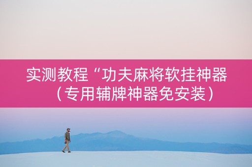 实测教程“功夫麻将软挂神器（专用辅牌神器免安装）