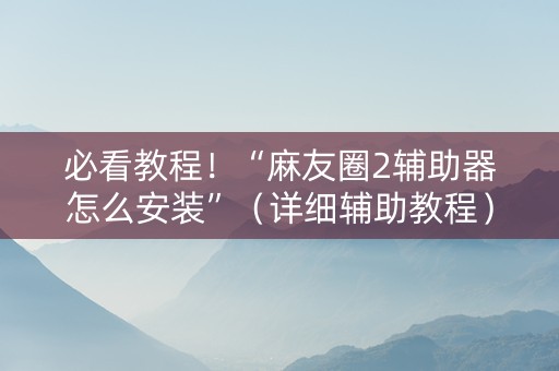 必看教程！“麻友圈2辅助器怎么安装”（详细辅助教程）-哔哩哔哩