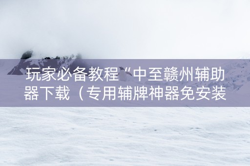 玩家必备教程“中至赣州辅助器下载（专用辅牌神器免安装）