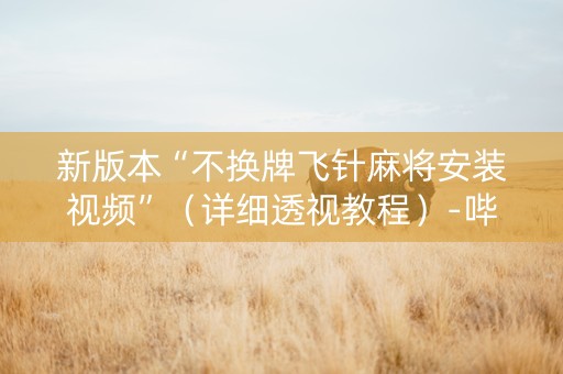新版本“不换牌飞针麻将安装视频”（详细透视教程）-哔哩哔哩