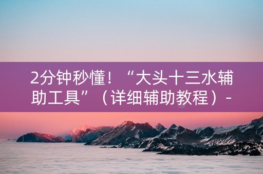 2分钟秒懂！“大头十三水辅助工具”（详细辅助教程）-哔哩哔哩