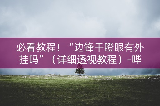 必看教程！“边锋干瞪眼有外挂吗”（详细透视教程）-哔哩哔哩