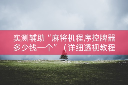 实测辅助“麻将机程序控牌器多少钱一个”（详细透视教程）-哔哩哔哩