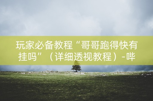 玩家必备教程“哥哥跑得快有挂吗”（详细透视教程）-哔哩哔哩