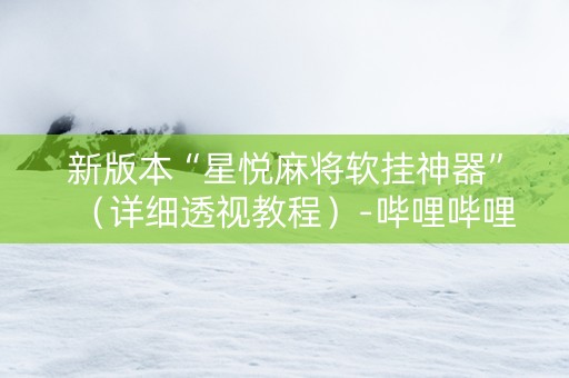 新版本“星悦麻将软挂神器”（详细透视教程）-哔哩哔哩