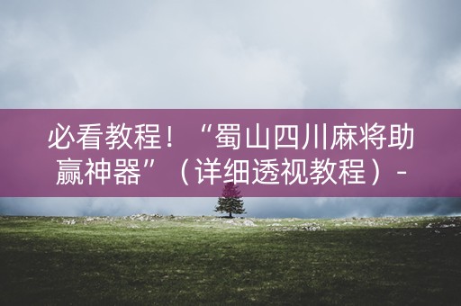 必看教程！“蜀山四川麻将助赢神器”（详细透视教程）-哔哩哔哩