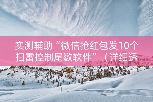 实测辅助“微信抢红包发10个扫雷控制尾数软件”（详细透视教程）-哔哩哔哩
