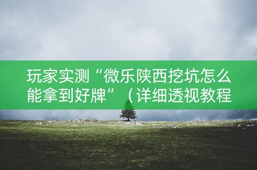 玩家实测“微乐陕西挖坑怎么能拿到好牌”（详细透视教程）-哔哩哔哩