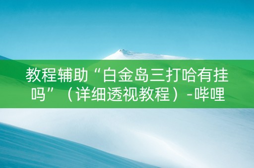 教程辅助“白金岛三打哈有挂吗”（详细透视教程）-哔哩哔哩