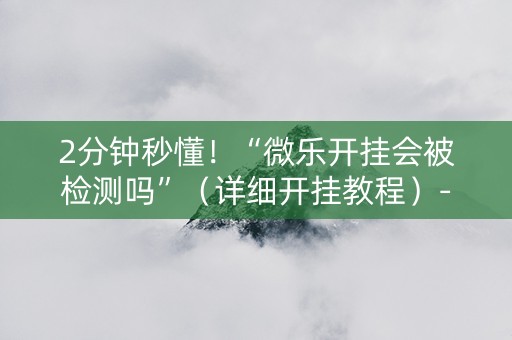 2分钟秒懂！“微乐开挂会被检测吗”（详细开挂教程）-哔哩哔哩