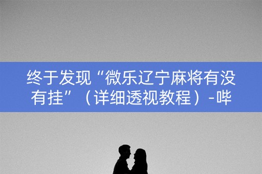 终于发现“微乐辽宁麻将有没有挂”（详细透视教程）-哔哩哔哩