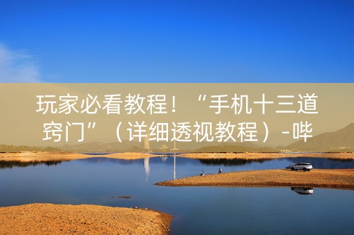 玩家必看教程！“手机十三道窍门”（详细透视教程）-哔哩哔哩