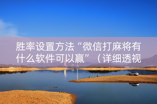 胜率设置方法“微信打麻将有什么软件可以赢”（详细透视教程）-哔哩哔哩