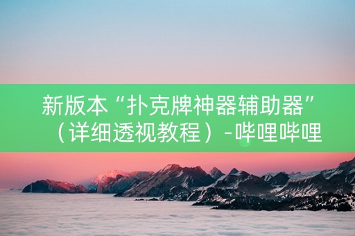 新版本“扑克牌神器辅助器”（详细透视教程）-哔哩哔哩