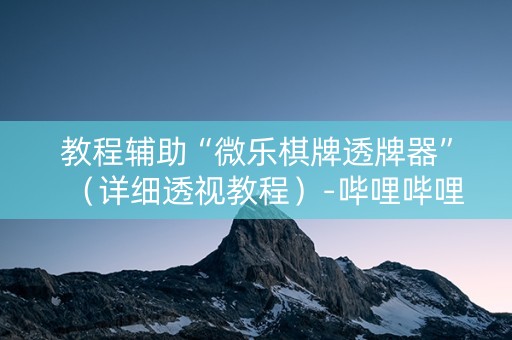 教程辅助“微乐棋牌透牌器”（详细透视教程）-哔哩哔哩