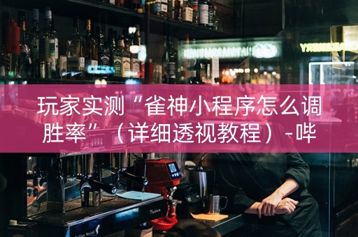 玩家实测“雀神小程序怎么调胜率”（详细透视教程）-哔哩哔哩