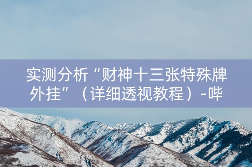 实测分析“财神十三张特殊牌外挂”（详细透视教程）-哔哩哔哩