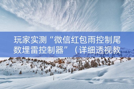玩家实测“微信红包雨控制尾数埋雷控制器”（详细透视教程）-哔哩哔哩