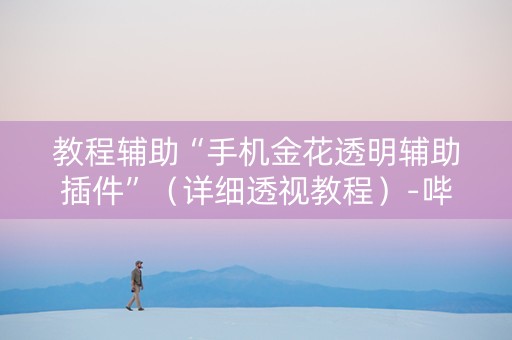 教程辅助“手机金花透明辅助插件”（详细透视教程）-哔哩哔哩