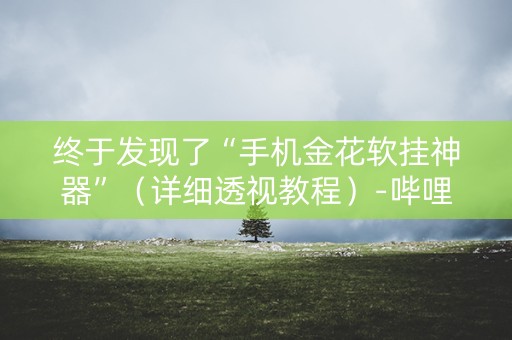 终于发现了“手机金花软挂神器”（详细透视教程）-哔哩哔哩