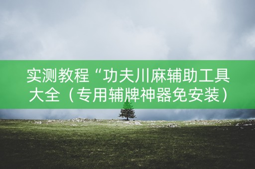实测教程“功夫川麻辅助工具大全（专用辅牌神器免安装）