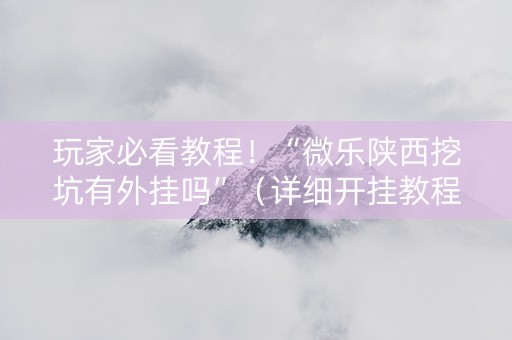 玩家必看教程！“微乐陕西挖坑有外挂吗”（详细开挂教程）-哔哩哔哩
