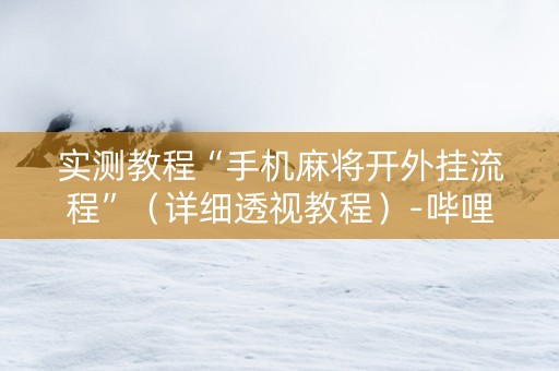 实测教程“手机麻将开外挂流程”（详细透视教程）-哔哩哔哩