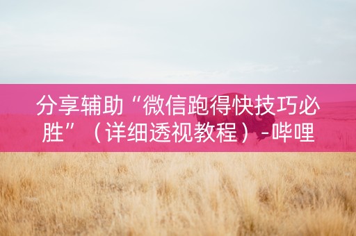 分享辅助“微信跑得快技巧必胜”（详细透视教程）-哔哩哔哩