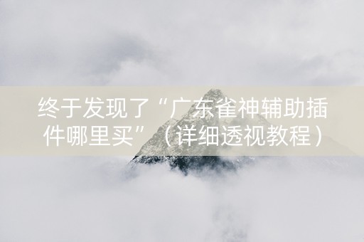 终于发现了“广东雀神辅助插件哪里买”（详细透视教程）-哔哩哔哩