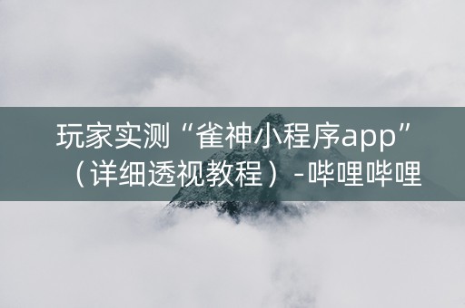 玩家实测“雀神小程序app”（详细透视教程）-哔哩哔哩