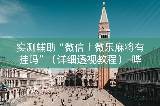实测辅助“微信上微乐麻将有挂吗”（详细透视教程）-哔哩哔哩