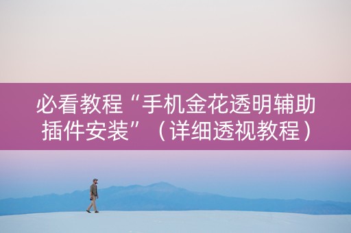 必看教程“手机金花透明辅助插件安装”（详细透视教程）-哔哩哔哩