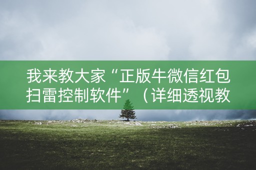 我来教大家“正版牛微信红包扫雷控制软件”（详细透视教程）-哔哩哔哩