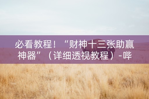 必看教程！“财神十三张助赢神器”（详细透视教程）-哔哩哔哩