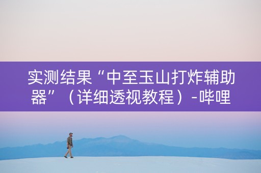 实测结果“中至玉山打炸辅助器”（详细透视教程）-哔哩哔哩