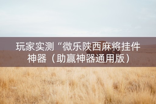 玩家实测“微乐陕西麻将挂件神器（助赢神器通用版）