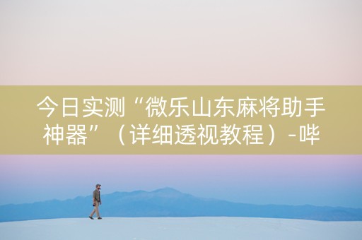 今日实测“微乐山东麻将助手神器”（详细透视教程）-哔哩哔哩