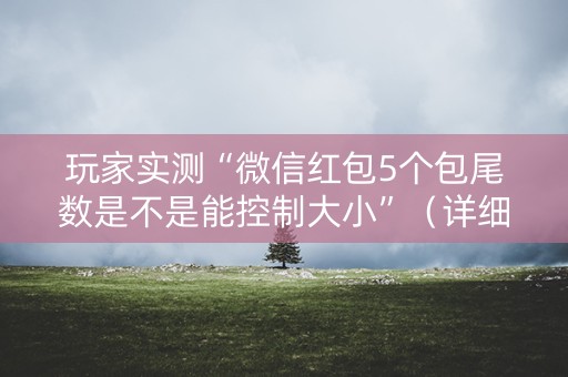 玩家实测“微信红包5个包尾数是不是能控制大小”（详细透视教程）-哔哩哔哩