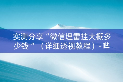 实测分享“微信埋雷挂大概多少钱 ”（详细透视教程）-哔哩哔哩