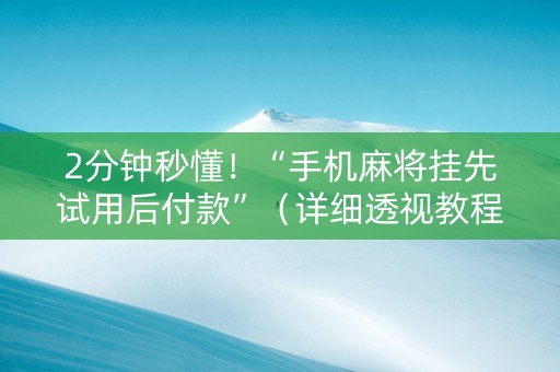 2分钟秒懂！“手机麻将挂先试用后付款”（详细透视教程）-哔哩哔哩