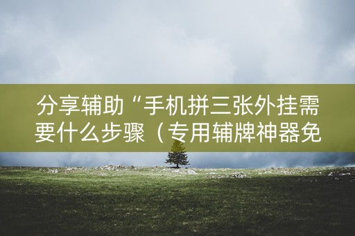 分享辅助“手机拼三张外挂需要什么步骤（专用辅牌神器免安装）
