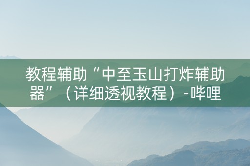 教程辅助“中至玉山打炸辅助器”（详细透视教程）-哔哩哔哩