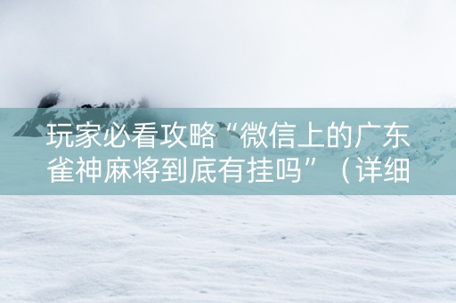 玩家必看攻略“微信上的广东雀神麻将到底有挂吗”（详细透视教程）-哔哩哔哩