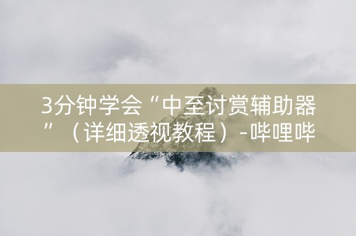 3分钟学会“中至讨赏辅助器”（详细透视教程）-哔哩哔哩