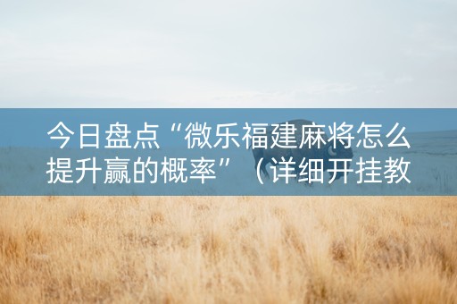 今日盘点“微乐福建麻将怎么提升赢的概率”（详细开挂教程）-哔哩哔哩