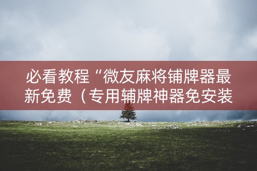 必看教程“微友麻将铺牌器最新免费（专用辅牌神器免安装）