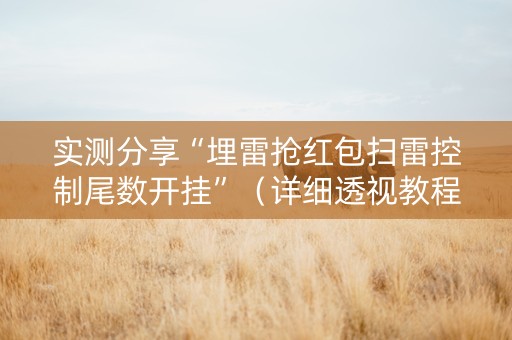 实测分享“埋雷抢红包扫雷控制尾数开挂”（详细透视教程）-哔哩哔哩