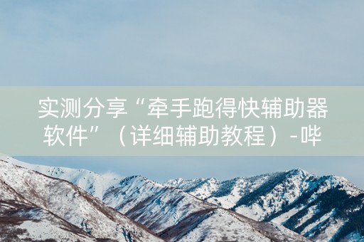 实测分享“牵手跑得快辅助器软件”（详细辅助教程）-哔哩哔哩