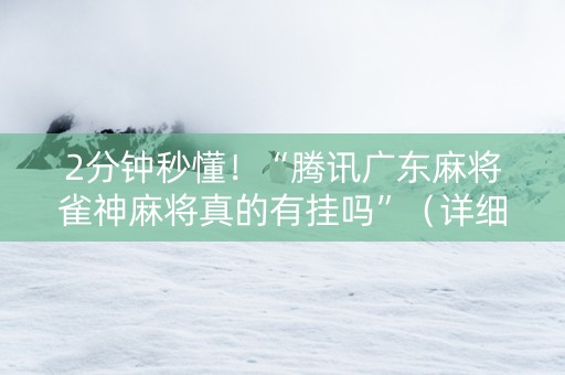 2分钟秒懂！“腾讯广东麻将雀神麻将真的有挂吗”（详细透视教程）-哔哩哔哩