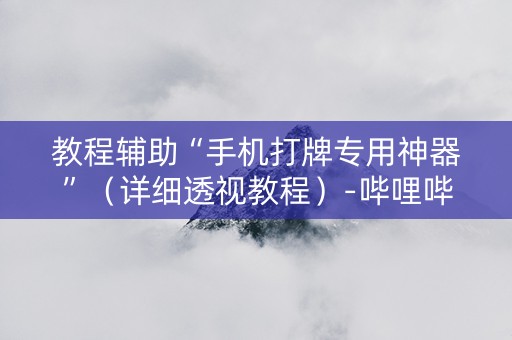教程辅助“手机打牌专用神器”（详细透视教程）-哔哩哔哩